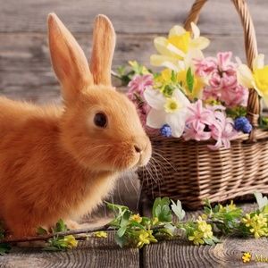 Meet your Posher, Alanna